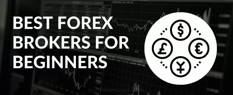 how-to-choose-the-best-forex-brokers-for-beginners-in-2024